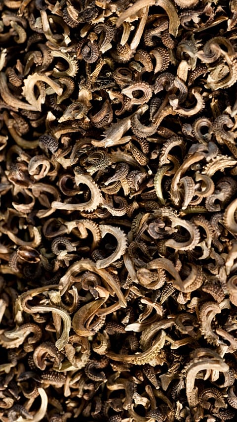 natura