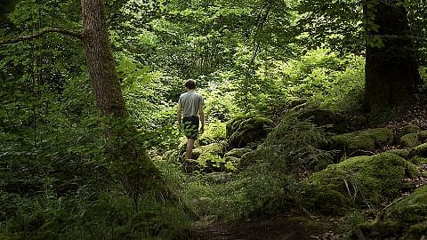 natura